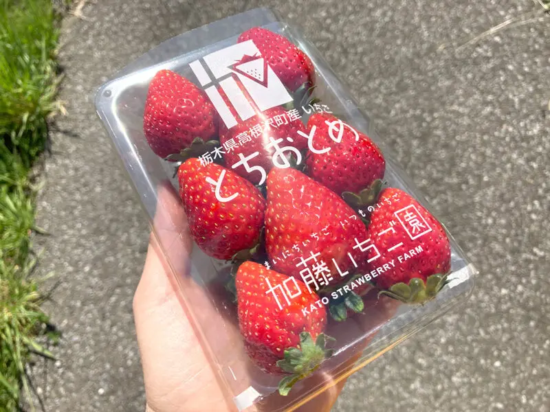 無人販売機で買える「加藤いちご園」さんのイチゴ｜たかマガ