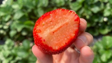 ゆだ農園　高根沢