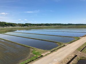 仁井田あさひ高架橋