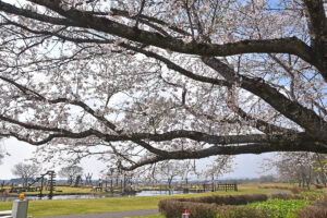 鬼怒グリーンパーク