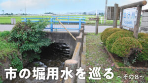 市の堀用水を巡る8