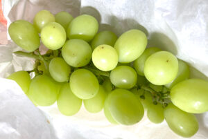 黒須学ぶどう園