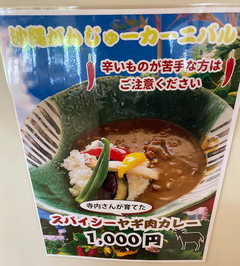 沖縄がんじゅーカーニバル