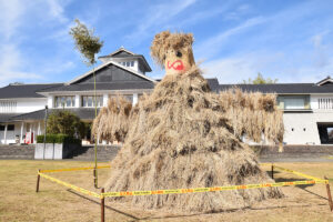たんたんボッチ展示会