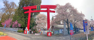 高根沢町さくら2023