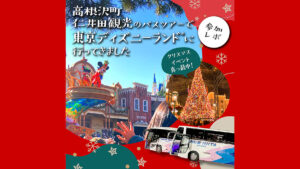 仁井田観光　東京ディズニーランド