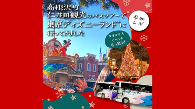 参加レポ】高根沢町・仁井田観光のバスツアーで東京ディズニーランドに