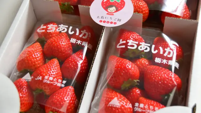 高根沢町「大島いちご園」さんのいちご｜たかマガ