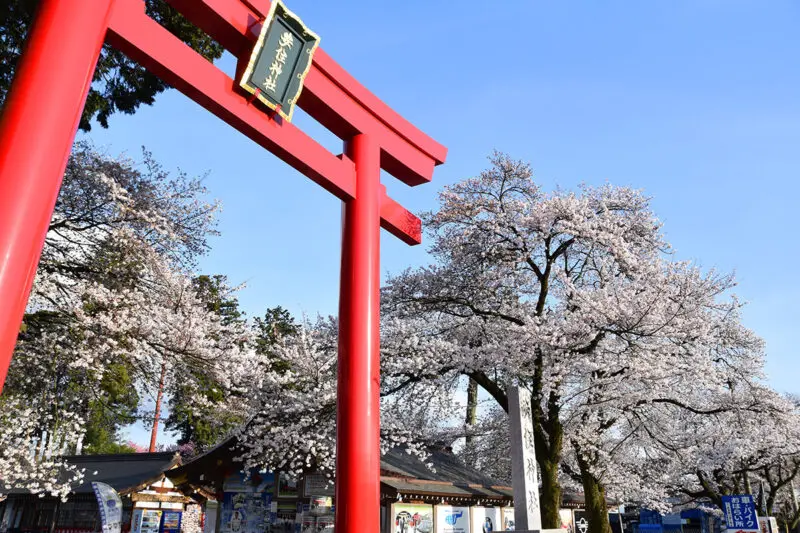 2026年版】高根沢町＆近郊の桜スポットおすすめ11選｜見頃・穴場まとめ