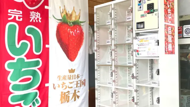 高根沢町「大森果樹園」さんにいちごの自動販売機が設置されました