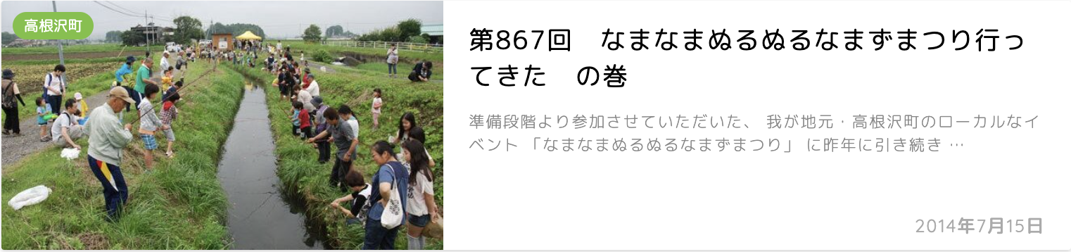 なまずまつり