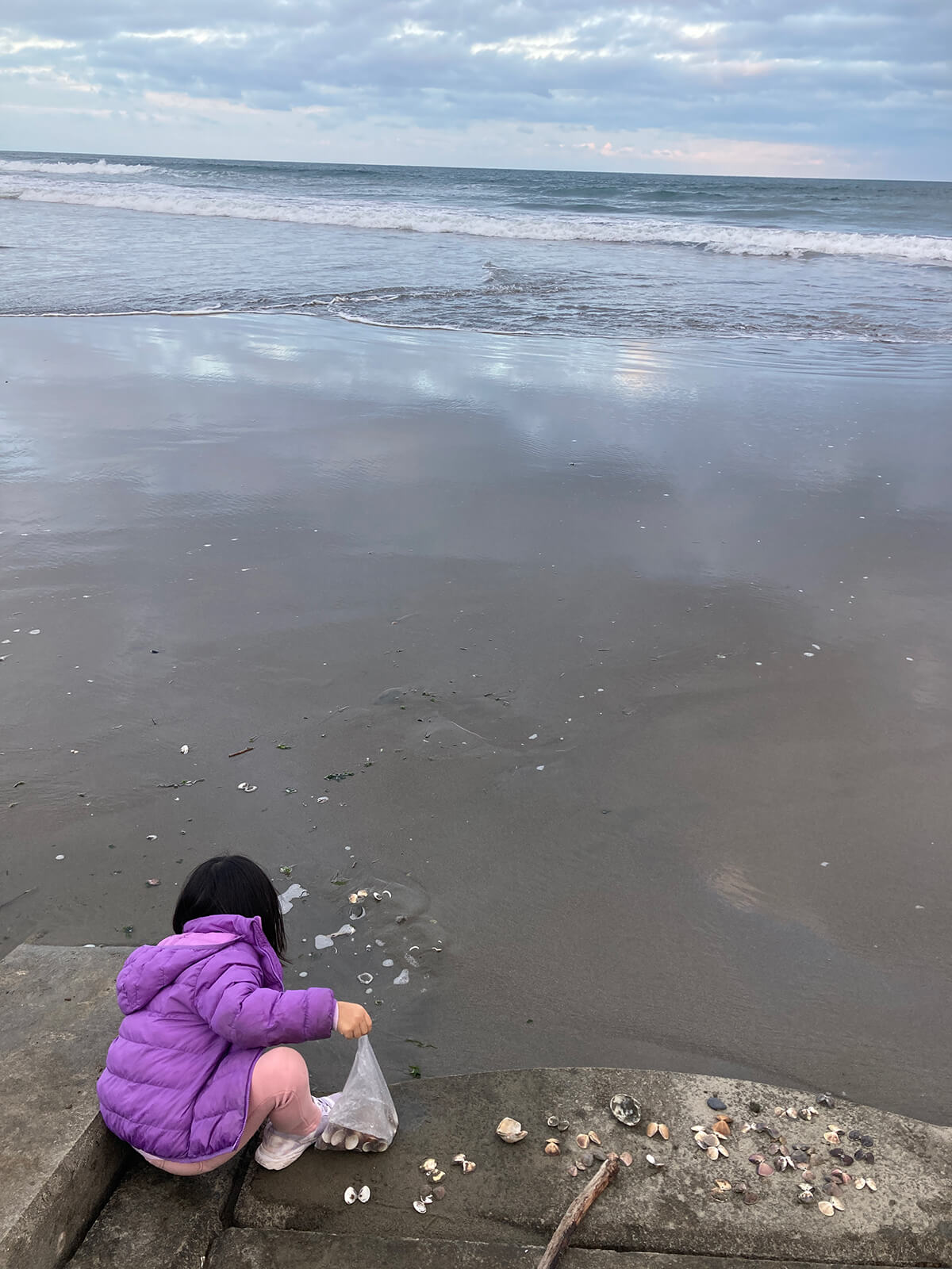 とちぎ海浜自然の家「海浜初日の出」