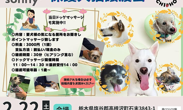 サニーサニー　保護犬猫譲渡会