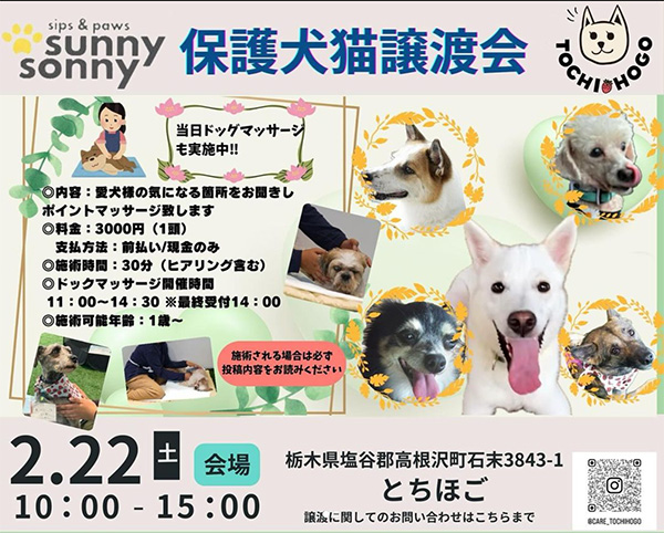 サニーサニー　保護犬猫譲渡会