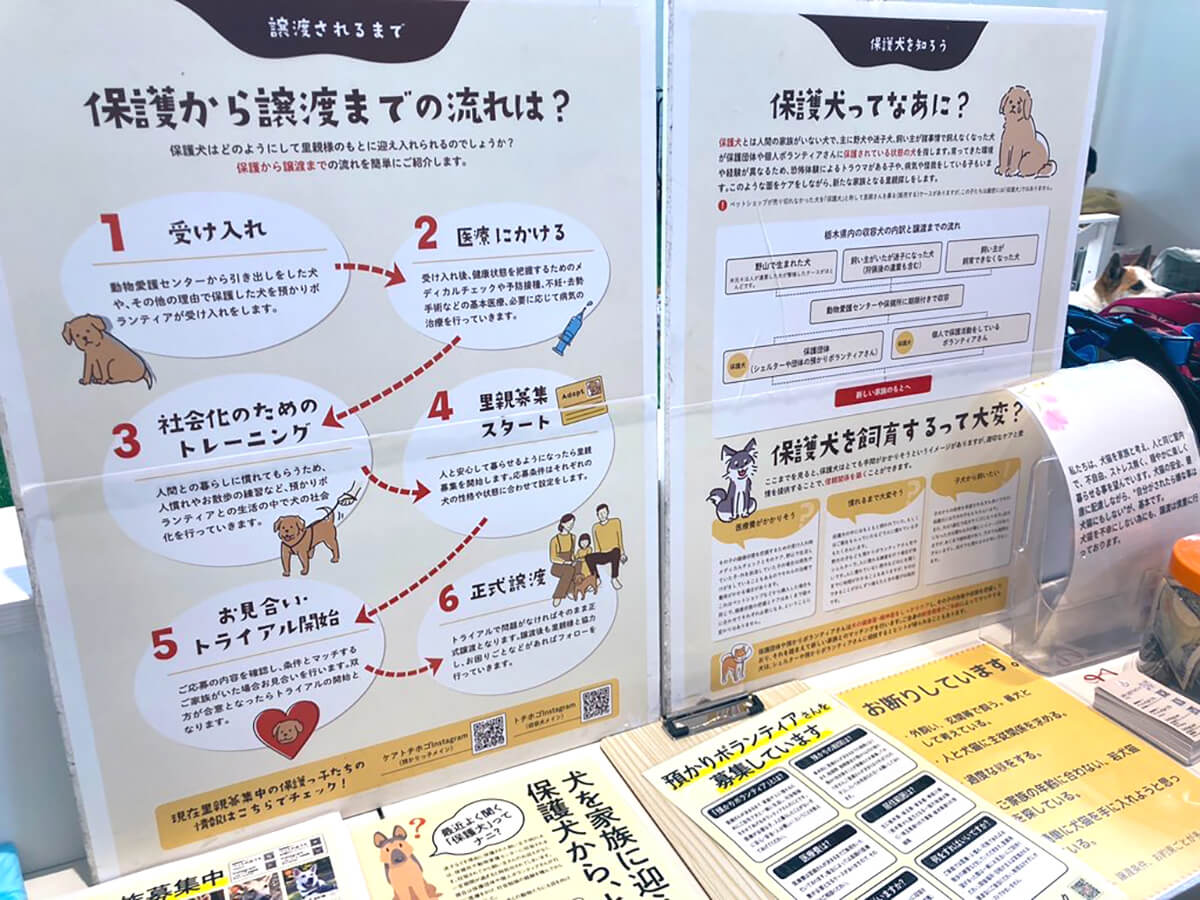 保護犬猫譲渡会