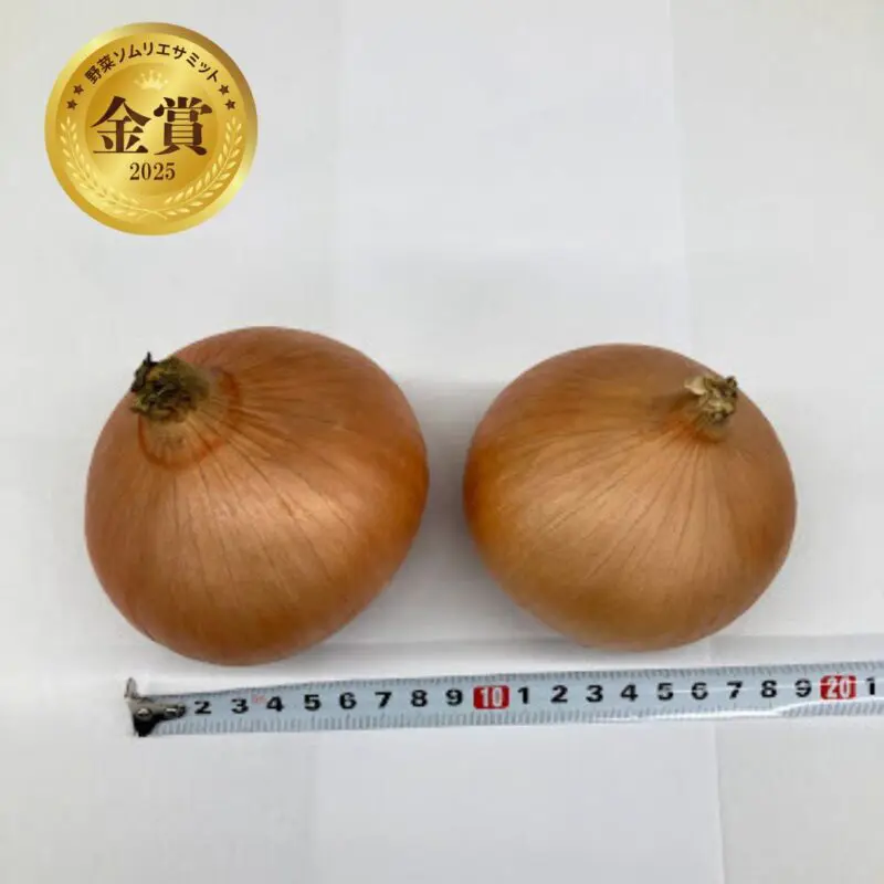 高根沢の情報】福田農園さんの玉ねぎが「野菜ソムリエサミット」金賞