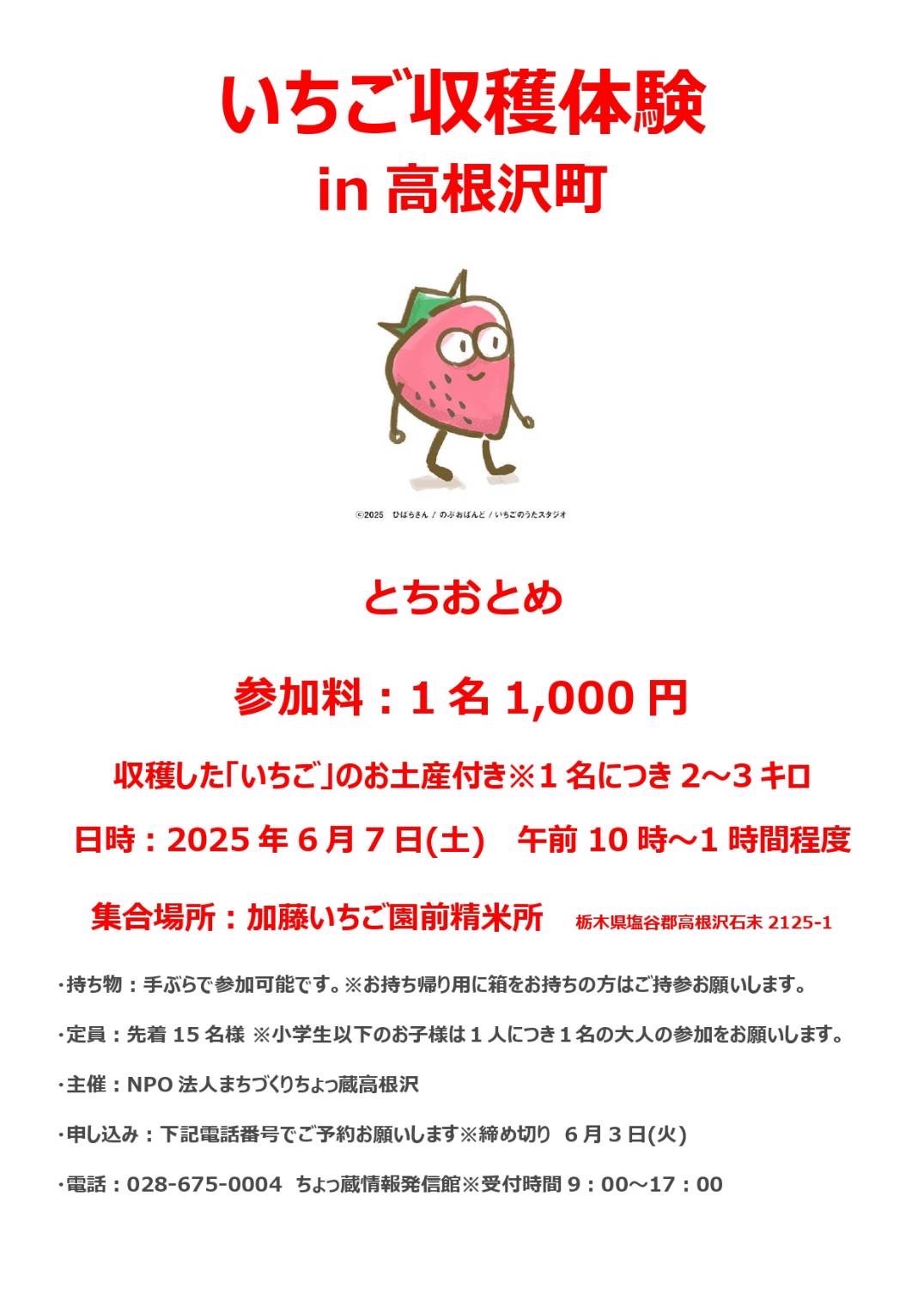いちご収穫体験