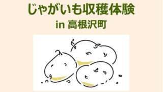 じゃがいも収穫体験