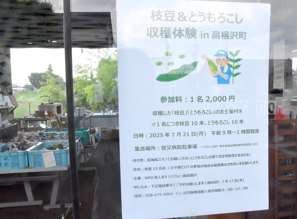 枝豆&とうもろこし