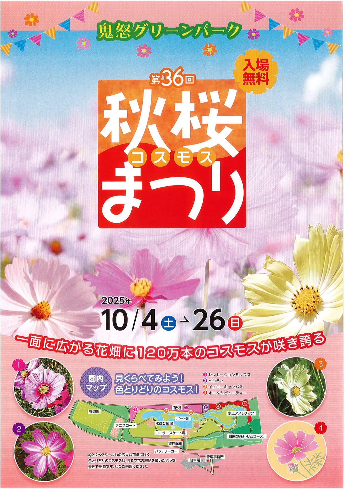 コスモスまつり