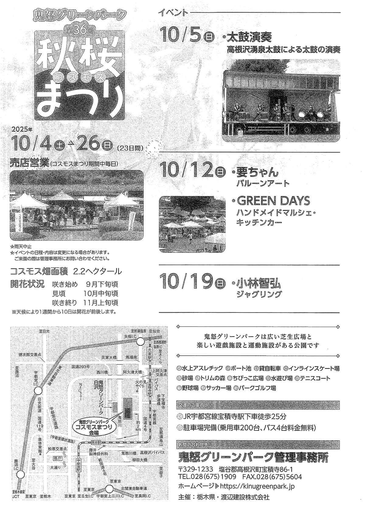 コスモスまつり