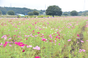 鬼怒グリーンパーク