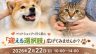 2/22(日)「サニーサニー みんなの保護犬・保護猫譲渡会」開催　入場無料・予約不要