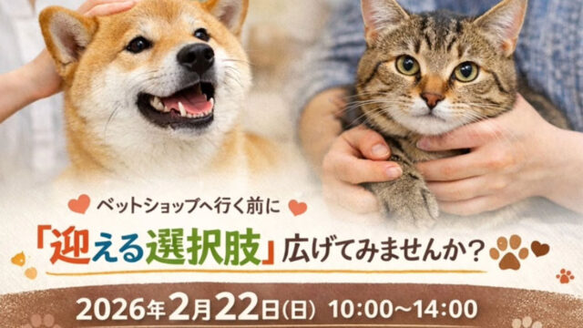 2/22(日)「サニーサニー みんなの保護犬・保護猫譲渡会」開催　入場無料・予約不要