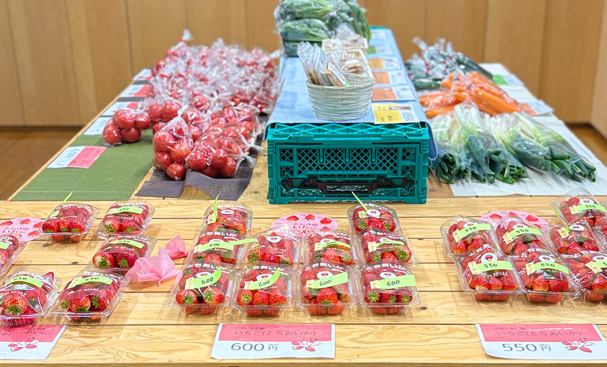 ヴェッキオＫトラム