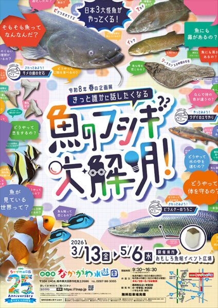 なかがわ水遊園