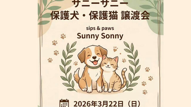サニサニ譲渡会