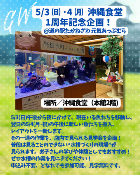高根沢　沖縄食堂