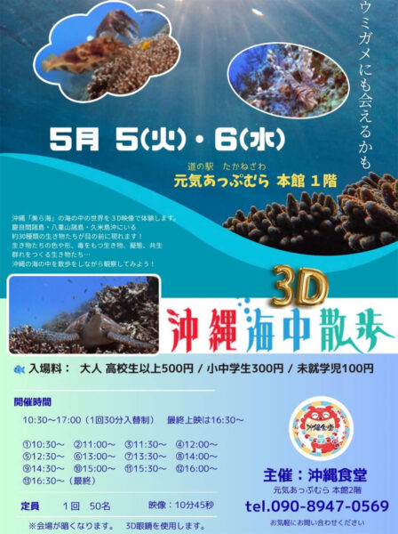 高根沢　沖縄海中散歩