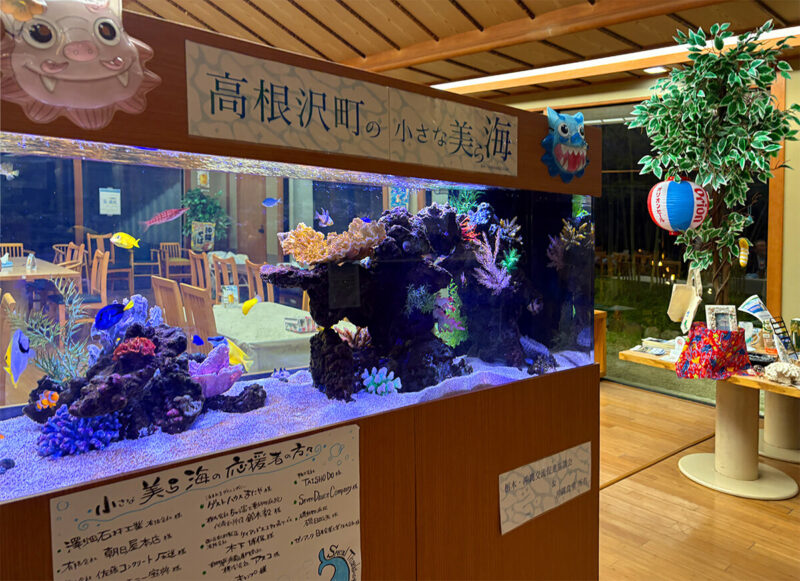 高根沢 沖縄食堂