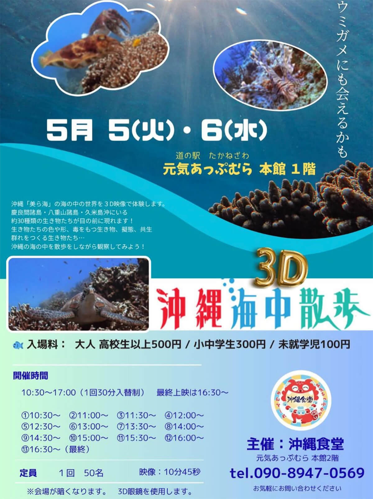 高根沢　沖縄海中散歩