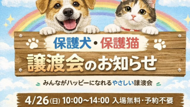 高根沢　サニサニ譲渡会