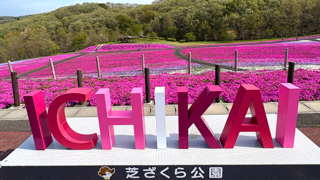 芝ざくらまつり