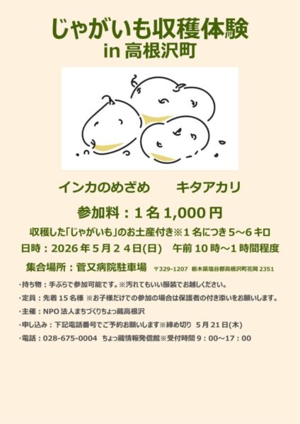 高根沢　じゃがいも収穫体験