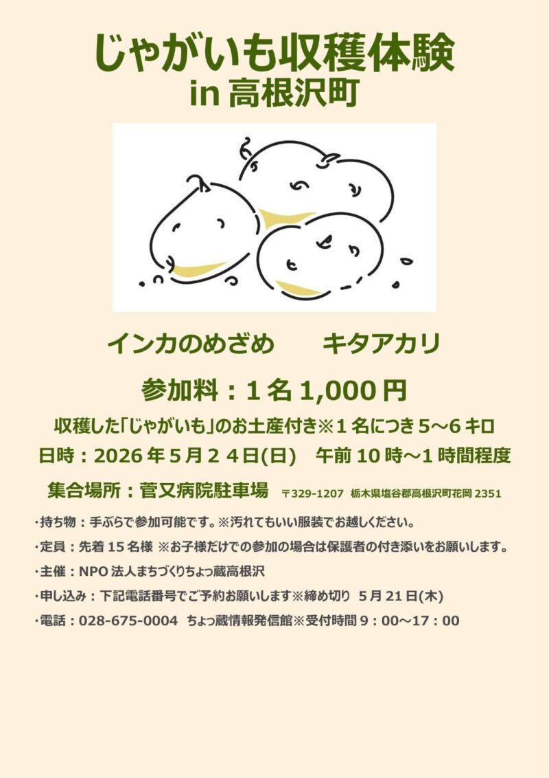 高根沢　じゃがいも収穫体験