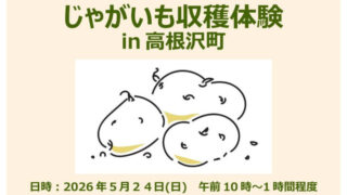 高根沢　じゃがいも収穫体験