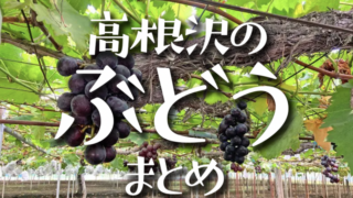 高根沢　観光ぶどう園