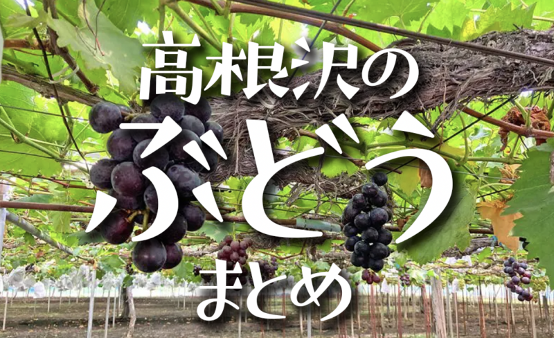 高根沢　観光ぶどう園