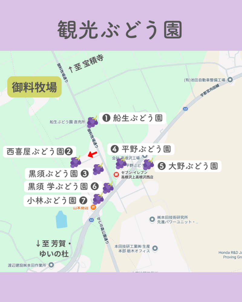高根沢　観光ぶどう園
