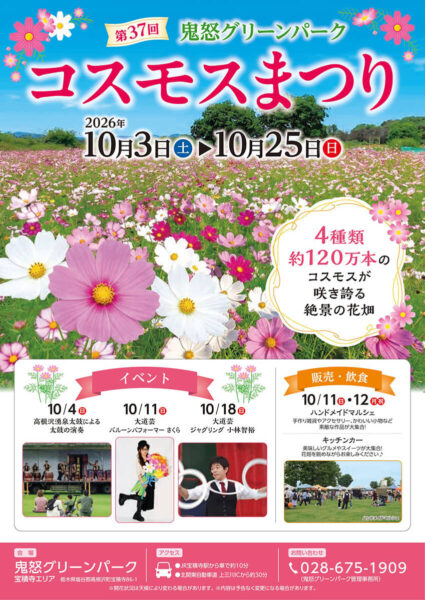 高根沢　コスモスまつり