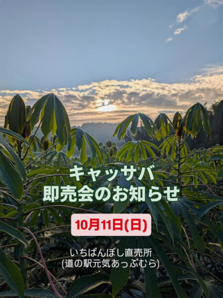 高根沢　キャッサバ即売会