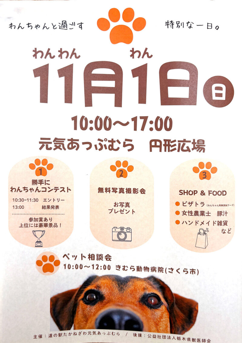 高根沢　わんわんわんDAY